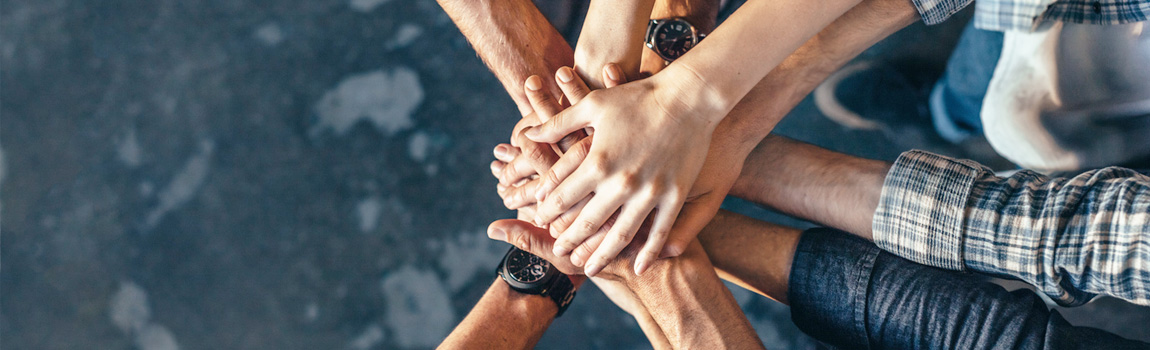 Sales Team